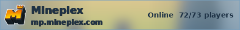 Mineplex ice banner