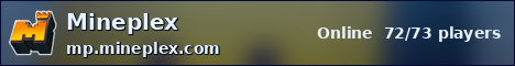 Mineplex ocean banner