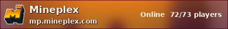 Mineplex sunset banner