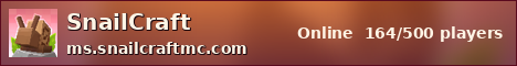 SnailCraft sunset banner
