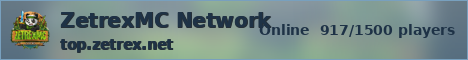 ZetrexMC Network ice banner
