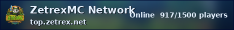 ZetrexMC Network ocean banner