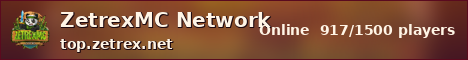 ZetrexMC Network sunset banner