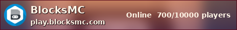 BlocksMC sunset banner