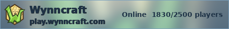 Wynncraft ice banner
