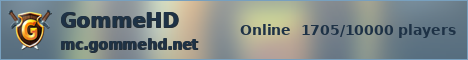 GommeHD ice banner