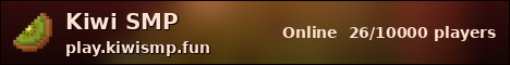 Kiwi SMP nether banner
