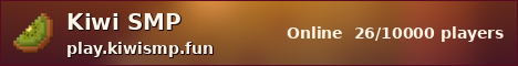 Kiwi SMP sunset banner