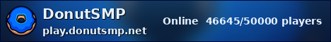 DonutSMP ocean banner