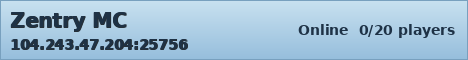 Zentry MC ice banner