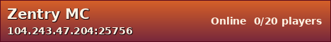 Zentry MC sunset banner