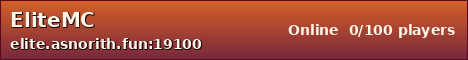 EliteMC sunset banner