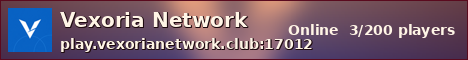 Vexoria Network sunset banner