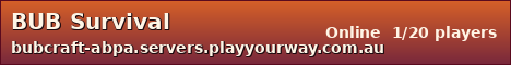 BUB Survival sunset banner