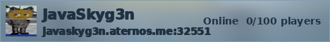 JavaSkyg3n ice banner