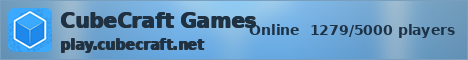 CubeCraft Games ice banner