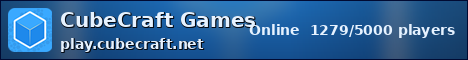 CubeCraft Games ocean banner