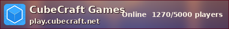 CubeCraft Games sunset banner